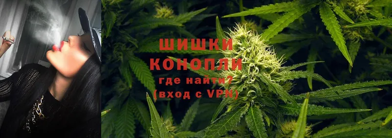 где найти наркотики  Александров  Канабис SATIVA & INDICA 